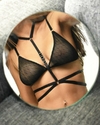 ARNES VENUS - efvo $6.000/ transf $6,750