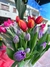 Tulipanes