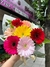 Gerberas M - comprar online