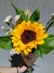 Girasol