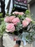 Rosas Importadas - Flower's Shop Centro