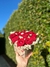Box en forma de corazon - comprar online
