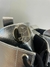 COTURNO METAL REF.537761 - comprar online
