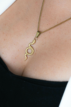 Set Serpiente Acero Dorado - comprar online
