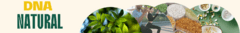 Banner da categoria Energia e performance