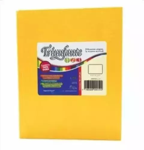 Cuaderno T/D 1-2-3-x 100 Triunfante 19 x 24