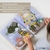 Libro Mágico para Colorear con Agua Peek-A-Boo Taf Toys - comprar online