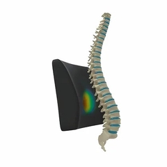 Almohada / Respaldo lumbar, espuma alta densidad Negro Therashape TM322