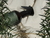 Spray Sereno - comprar online