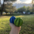 Pelota para Premios en internet