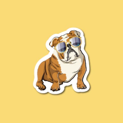 BULLDOG INGLÉS CON LENTES - comprar online