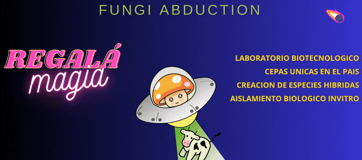 Carrusel FUNGIABDUCTION