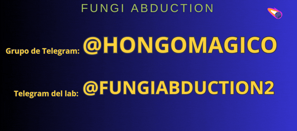 Carrusel FUNGIABDUCTION