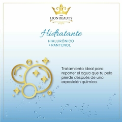 HIDRATANTE THE LION BEAUTY - comprar online