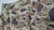 Chaleco camo en internet