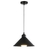 PENDENTE AURORA PRETO/COBRE VNZ E27 IP20 -eLight (RD)