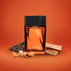 Volpe Master Desodorante Colônia 100ml na internet