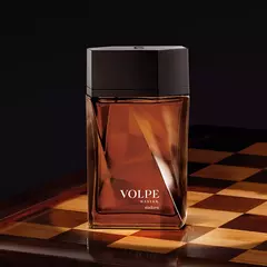 Volpe Master Desodorante Colônia 100ml - comprar online