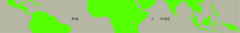 Banner de la categoría PINS
