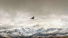 Banner de la categoría MONTAÑA