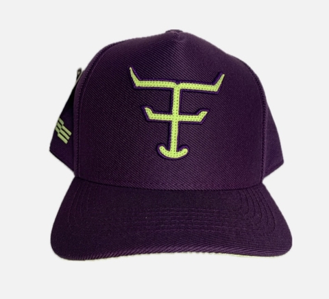 BONE TEXAS FARM-TF733- ROXO/ VERDE NEON