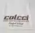 T-Shirt Colcci Comfort Edition - loja online
