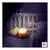 Juguete Winfun Ardilla Con Proyector Luces Y Sonidos - comprar online