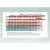 Base B - Kawsay 1L - comprar online