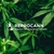 Permiso REPROCANN