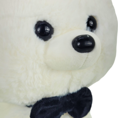 Cachorro Gravatinha