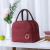 Bolsa Térmica Portátil Com Isolamento Térmico - loja online