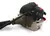 DESMALEZADORA DBC5100-T-52CC. DUCATI - comprar online