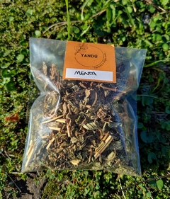MENTA