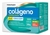 Colágeno Hidrolisado 2 em 1 (30 Sachês de 10g) - Sabor: Sortidos