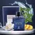 Maître de Blue Maison Alhambra (Ref. Olfativa Bleu de Chanel) - Masculino - Eau de Parfum - 100ml - loja online