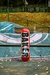 BAKER PRO MODEL FIGGY