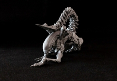Xenomorfo