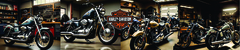Banner da categoria Harley Davidson 