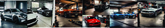 Banner da categoria Mustang 
