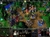 Warcraft III: Reign of Chaos - Alejandro Carrizo