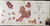 Peter Murphy Should the world fail to fall apart 1987 - comprar online