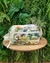 Necessarie Farm Amo Tropicalia