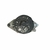 Alternador Chevrolet Celta Corsa 1.0 2002/2016 - 93390879 na internet
