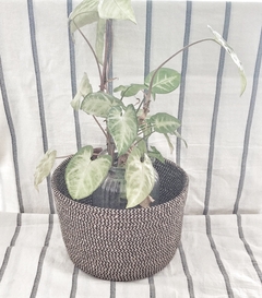 CESTA PORTAMACETA YUTE JASPEADO CON NEGRO - comprar online