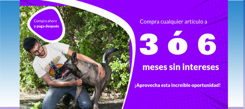 Carrusel 1