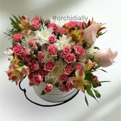 Box Rococo pink en internet