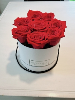 BOUQUET ROSAS IMPORTADAS BOX BLANCO en internet