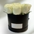 Carrusel Orchidially flowers & scents