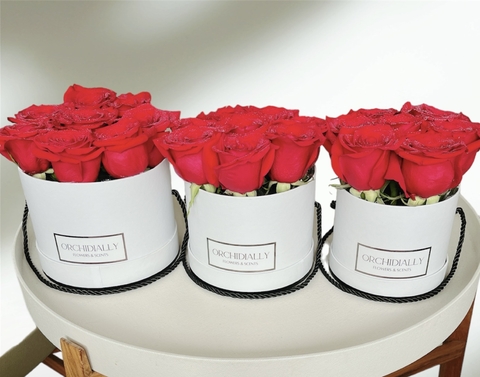 Carrusel Orchidially flowers & scents
