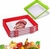 Bandeja p/ Conservar Alimentos - loja online